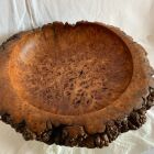 A Burr Elm Natural Edged Bowl