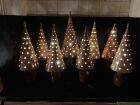 A selection of Christmas Trees all lighted up